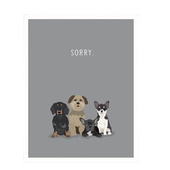 orry dog loss sympathy card by Apartment 2 Cards, "So sorry for the loss of your beloved pet", 4.25 x 5.5 inches, white envelope