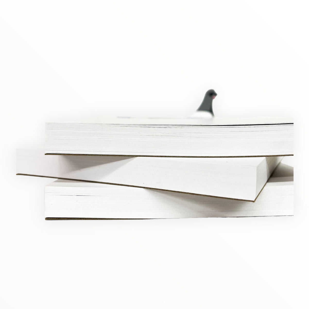 Pigeon Notepad by Quick Brown Fox, 100 sheets, 5 inches, pigeon design