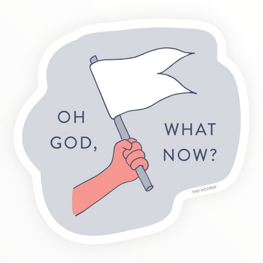 Oh God What Now matte die-cut vinyl sticker by Tiny Hooray, 2 x 3 inches