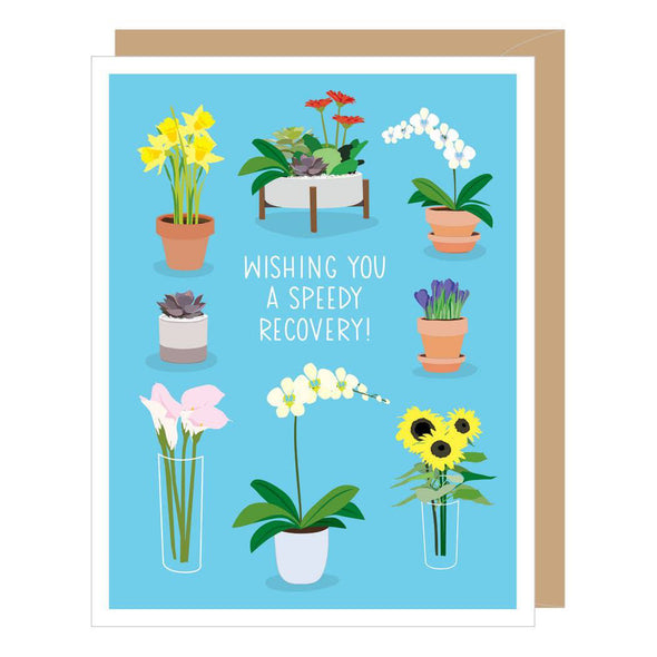 Potted flowers get well card by Apartment 2 Cards, "Wishing you a speedy recovery", blank interior, 4.25 x 5.5 inches, kraft envelope