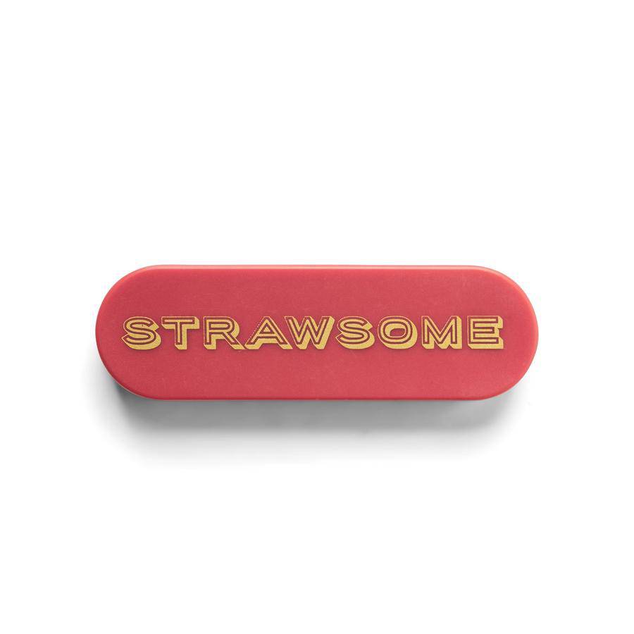 Portable straw set in Terracotta "Strawsome" by DesignWorks Ink, expandable stainless steel straw with cleaning brush and eco-friendly case