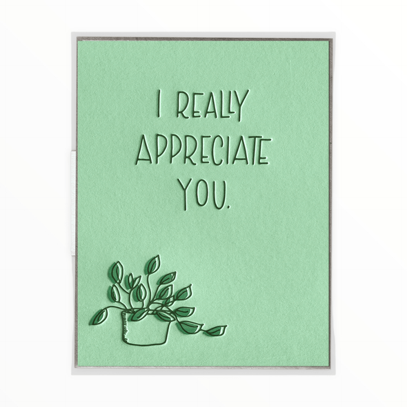 I Really Appreciate You - The Paper Drawer