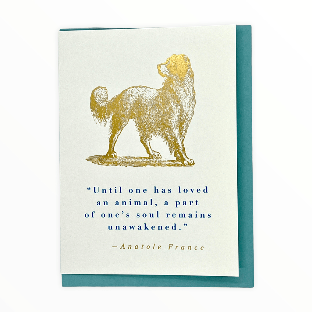 Dog Quote Sympathy Card - The Paper Drawer