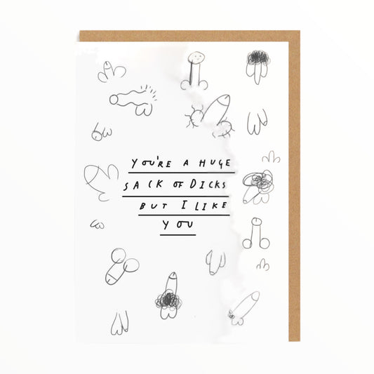 You're a Huge Sack O Dicks But I Still Like You card by Ohh Deer, blank interior, kraft brown envelope, 4.1 x 5.8 inches