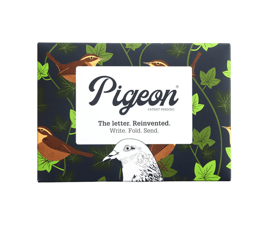 Pigeon Posted Robin and Wren letter and envelope set of 6 by Pigeon Posted, origami-inspired, 5.25 x 3.75 inches, made in UK