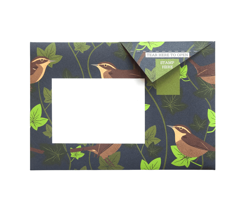 Pigeon Posted Robin and Wren design 6 by Pigeon Posted
