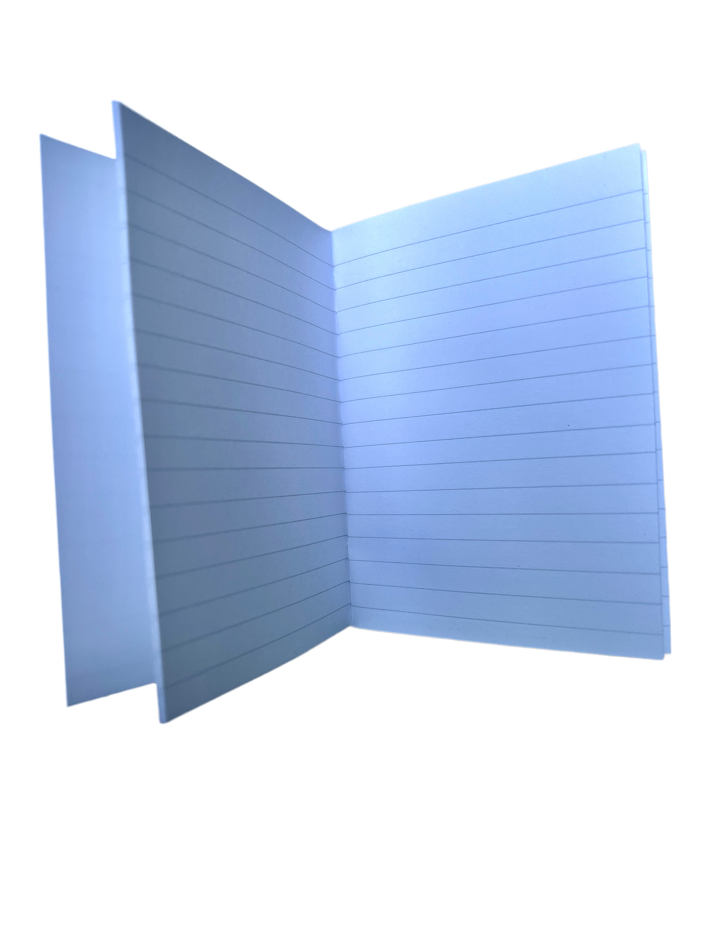 Old School Pocket Notebook interior detail by The Penny Paper Co., lined pages